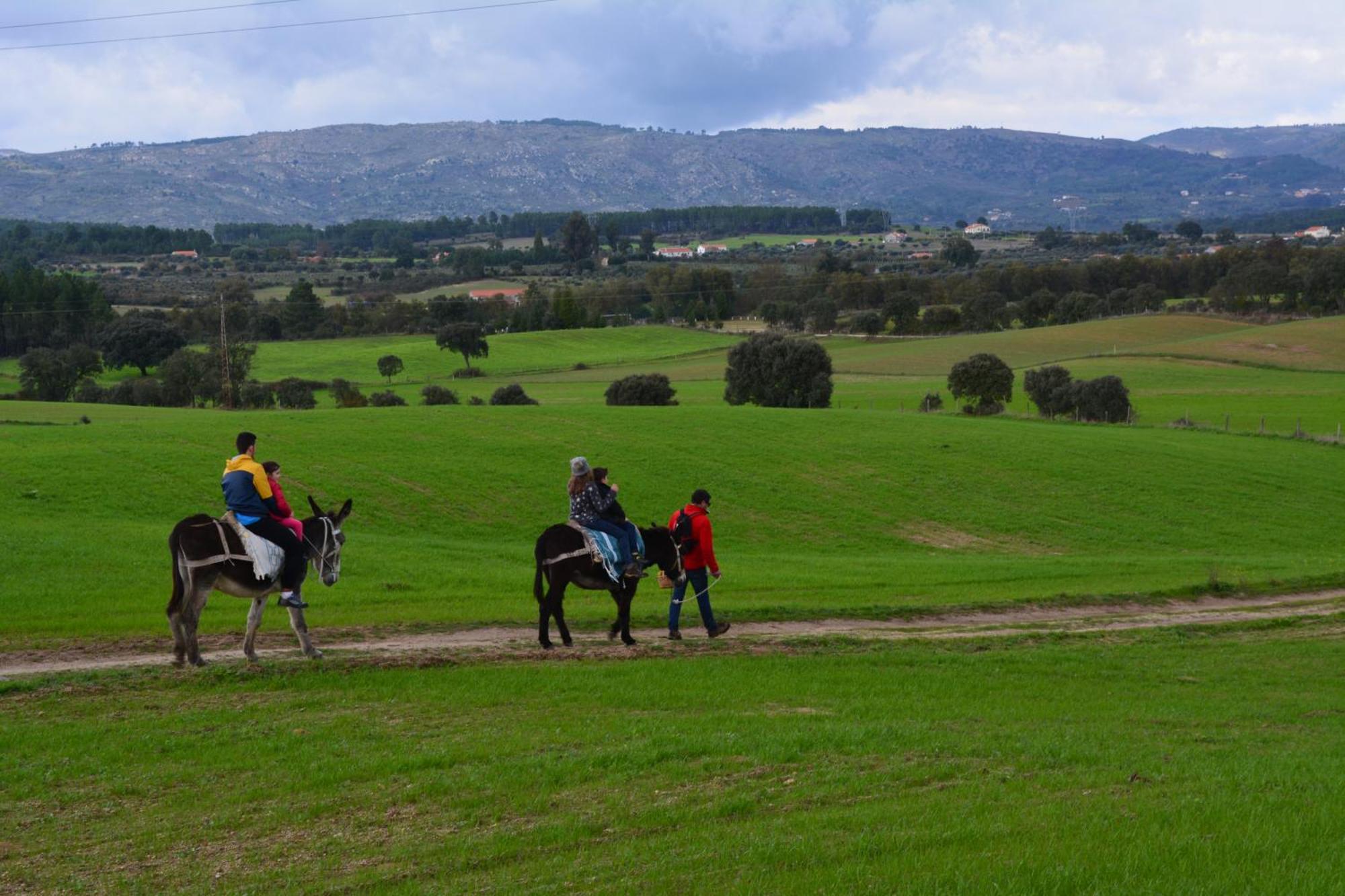 Turismo Rural 4Quintas Minhocal Екстериор снимка