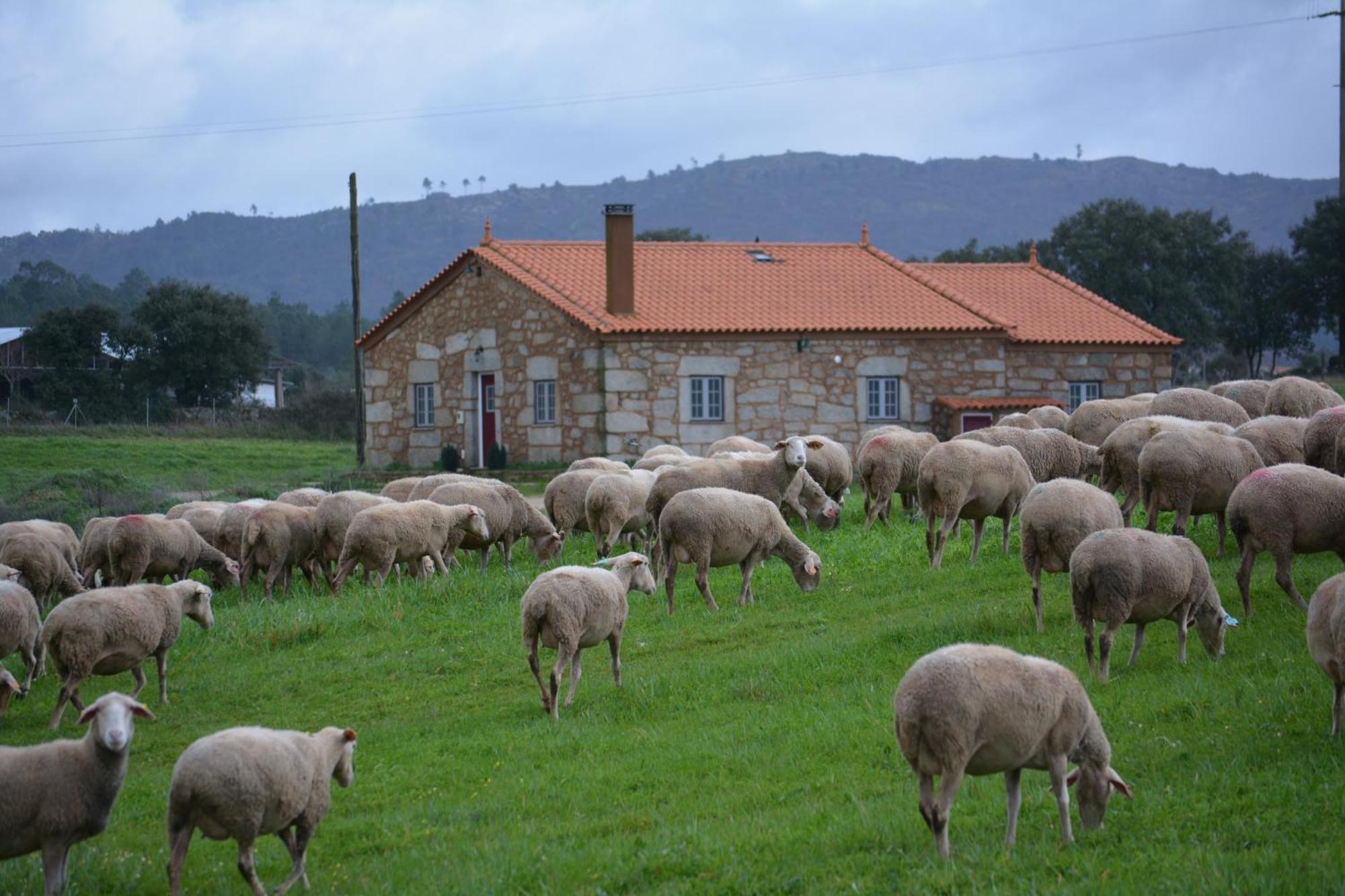 Turismo Rural 4Quintas Minhocal Екстериор снимка