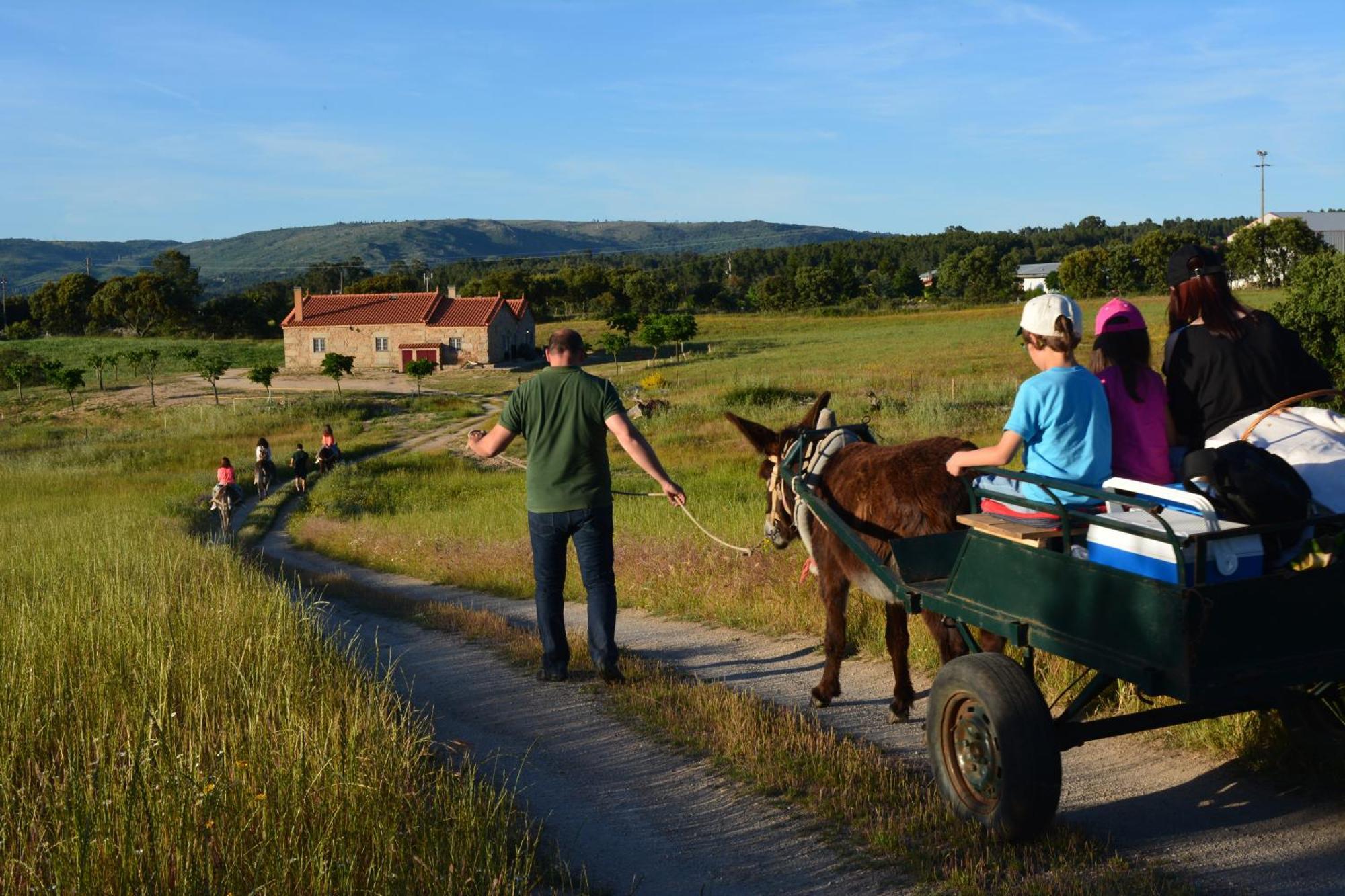 Turismo Rural 4Quintas Minhocal Екстериор снимка